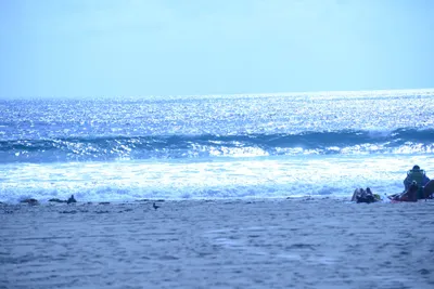 DSC_5005 (Large).JPG